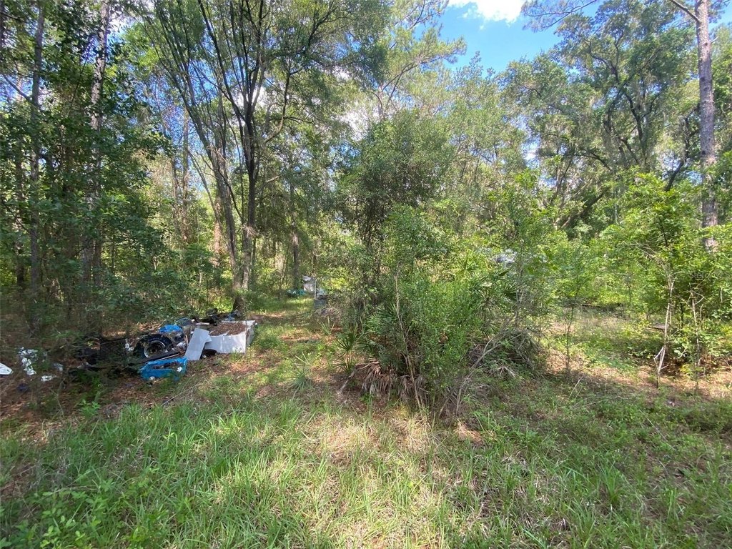 Picture 6