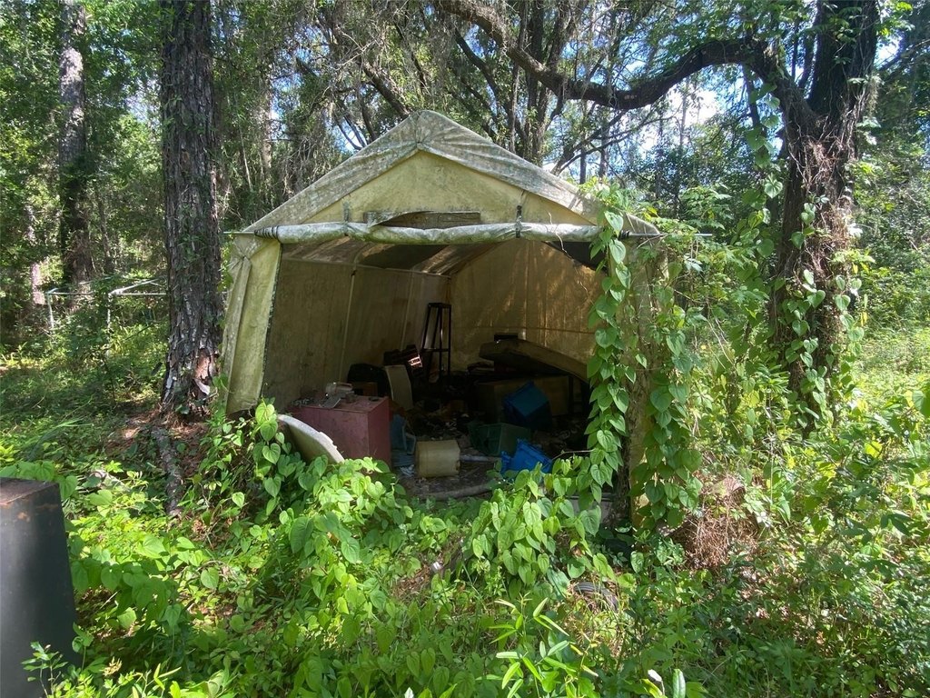 Picture 12