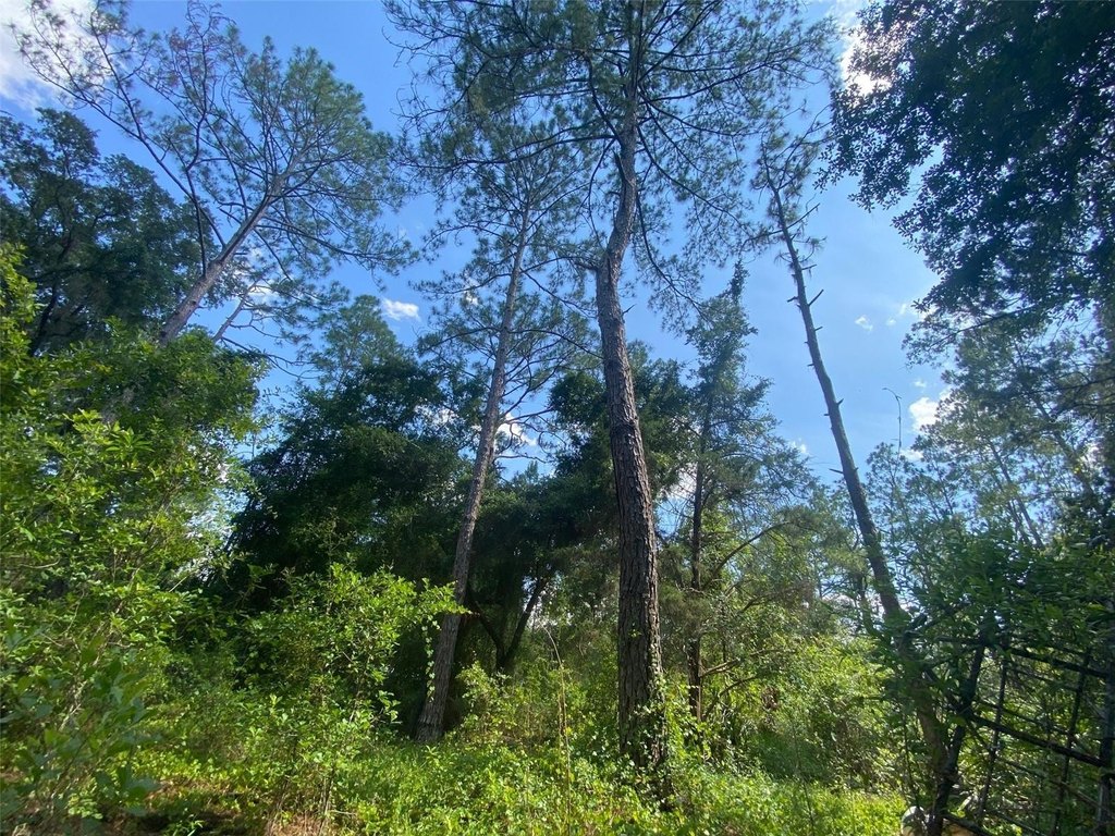 Picture 8