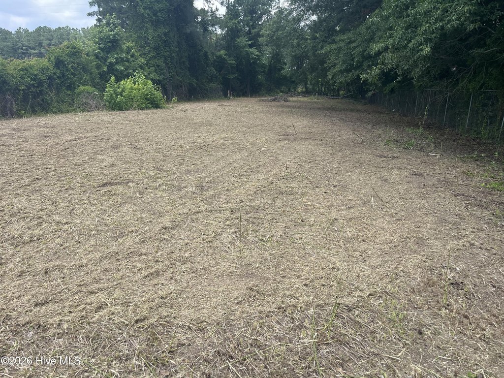 Picture 15