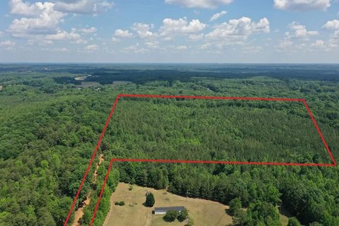 Undeveloped Timberland Parcel
