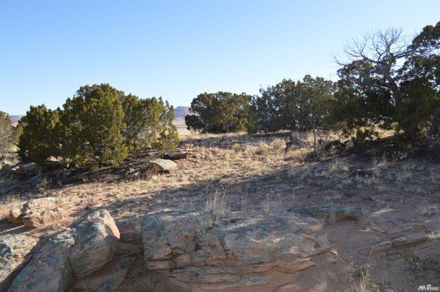 Picture 25