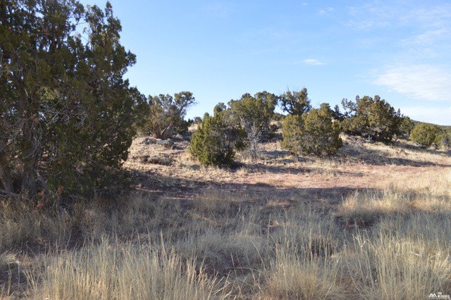 Picture 10