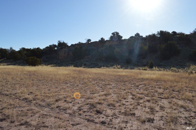 Picture 15