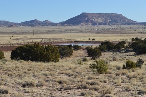 Land, Prewitt, NM