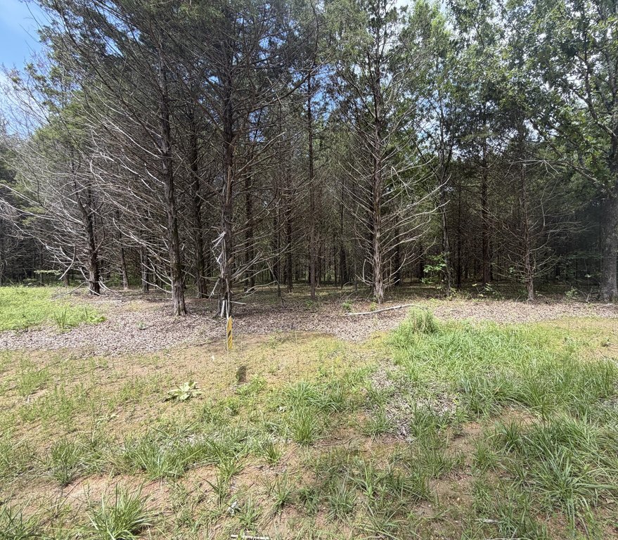 Picture 18