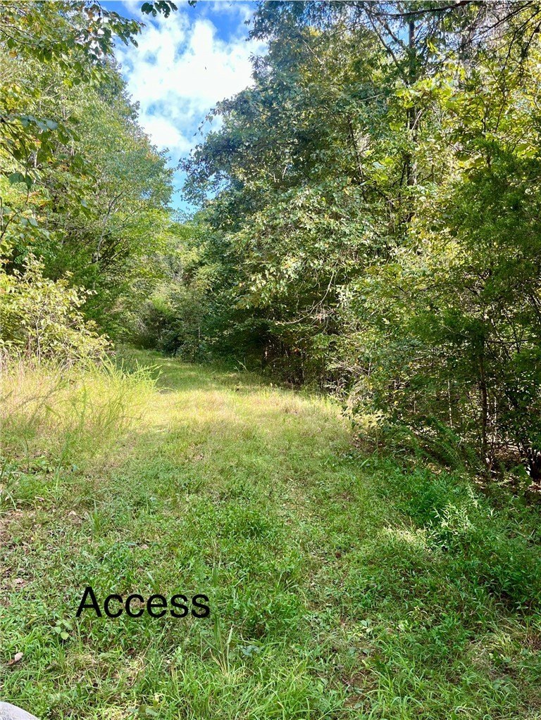 40 Acres of Recreational Land