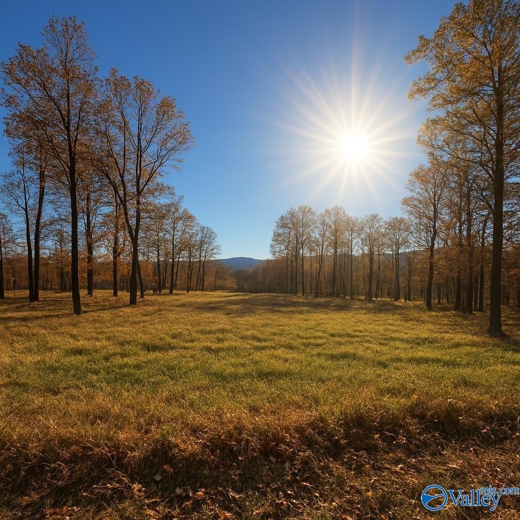 Mountain Top Estate Homesite