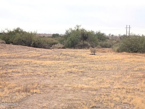 LAND - Florence, AZ