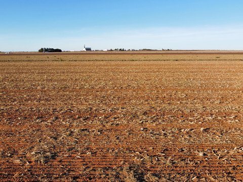 Land, Ropesville, TX