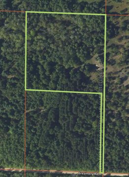 Manistee Forest 10-Acre Parcel