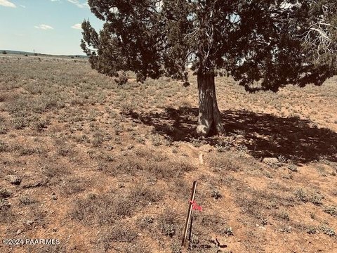 LAND - Seligman, AZ
