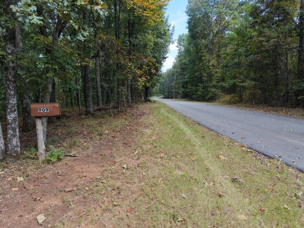 Picture 14