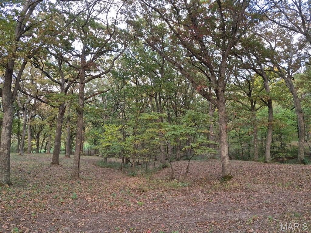 Picture 13