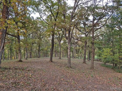 Land, Eolia, MO