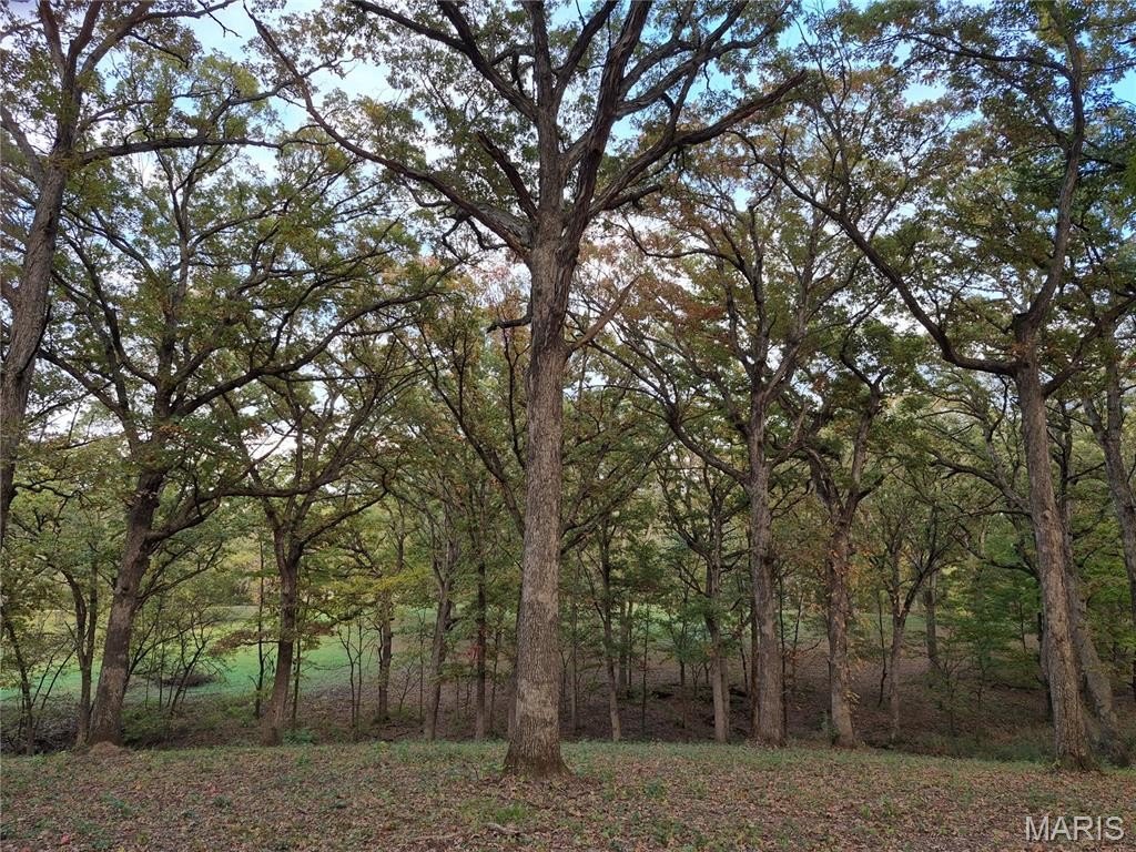Picture 11