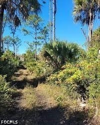 Land, Clewiston, FL