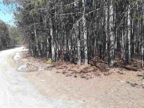 VACANT LAND, Stanwood, MI
