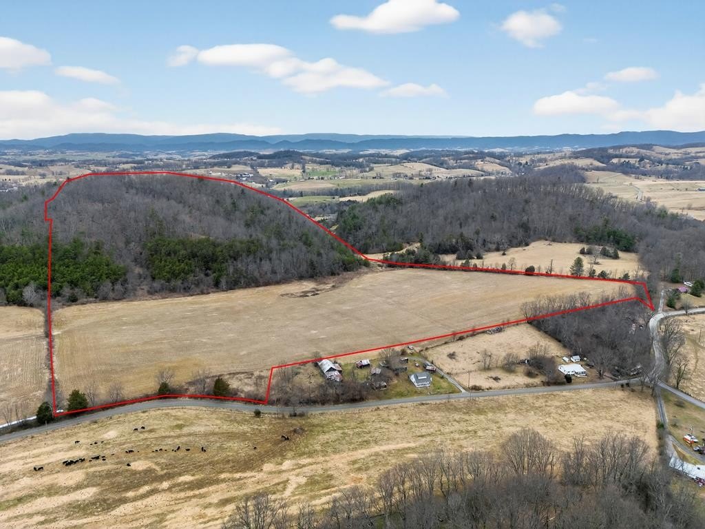 75 Acre Land Parcel in Chilhowie