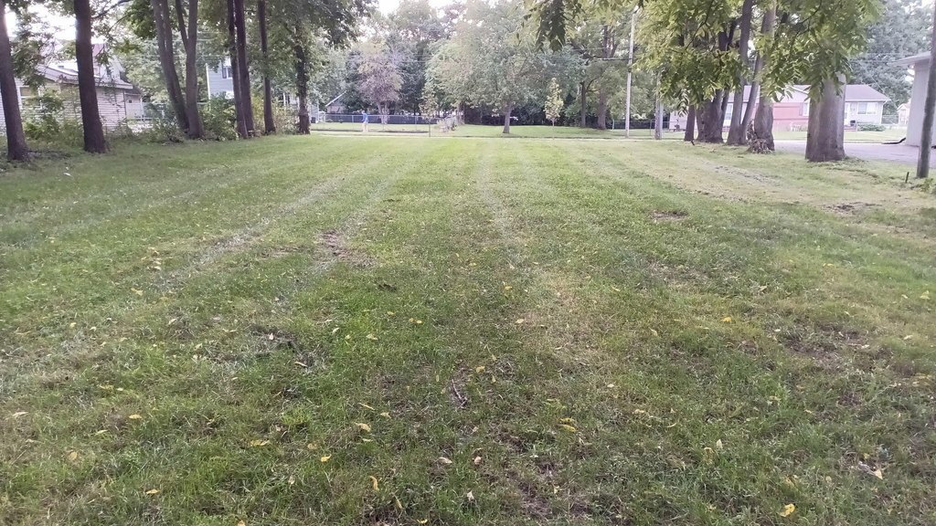 Picture 4