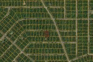 Land Near Lake, Horseshoe Bend