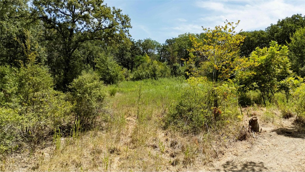 Picture 37