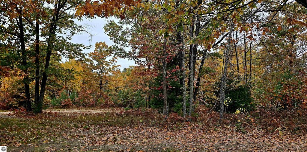 Picture 8