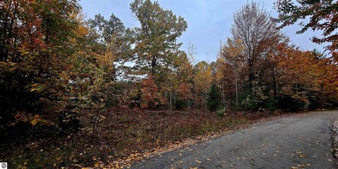 Vacant Lot/Land, Kalkaska, MI