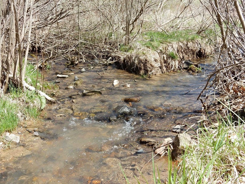 Picture 3