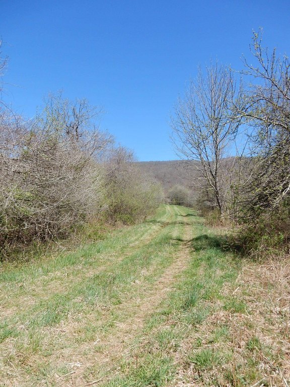 Picture 5