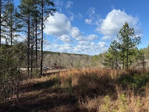 Land, Guild, TN