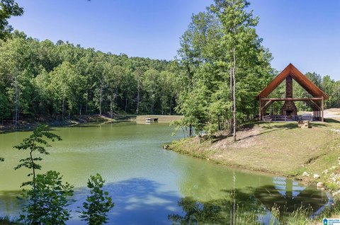 LAND - CHELSEA, AL