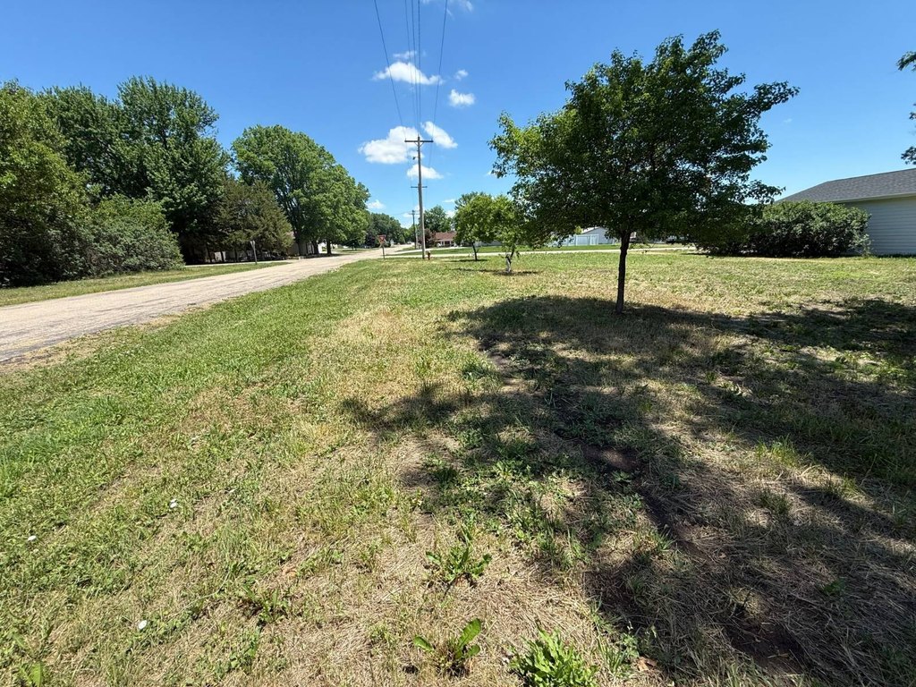Picture 5