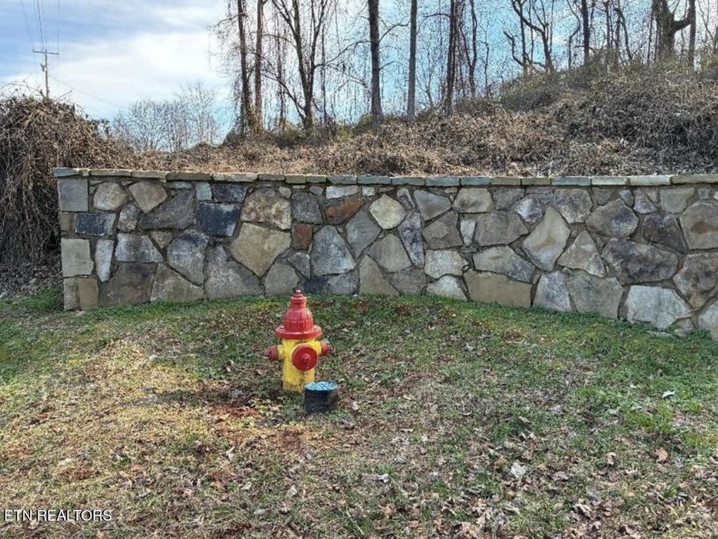 Picture 9