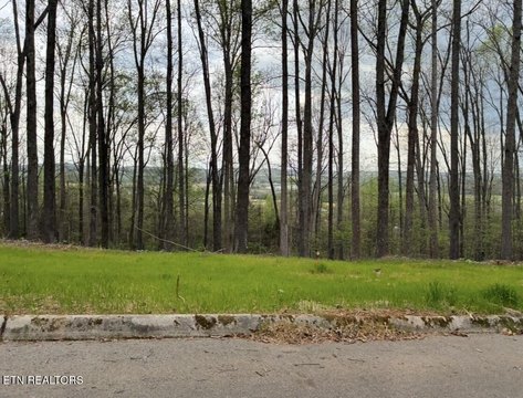 LAND - Sweetwater, TN