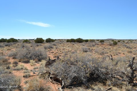 10 Acres in Snowflake, AZ