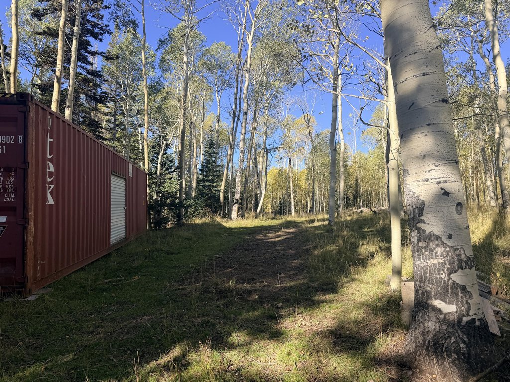 Picture 14