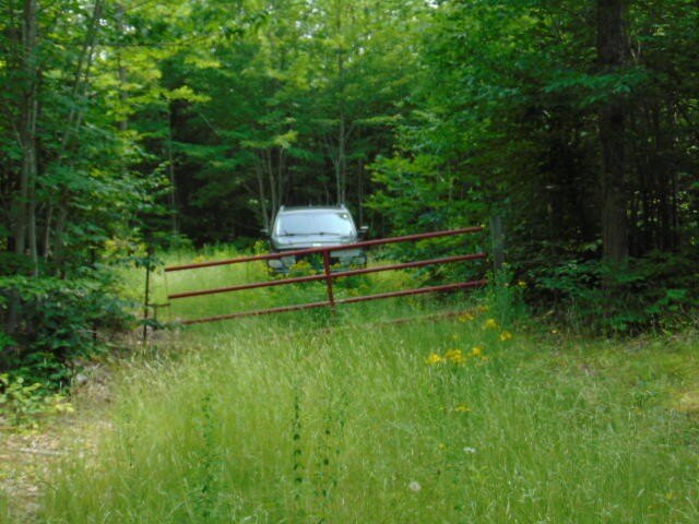 Picture 6