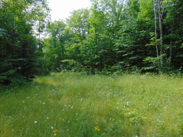 Picture 5