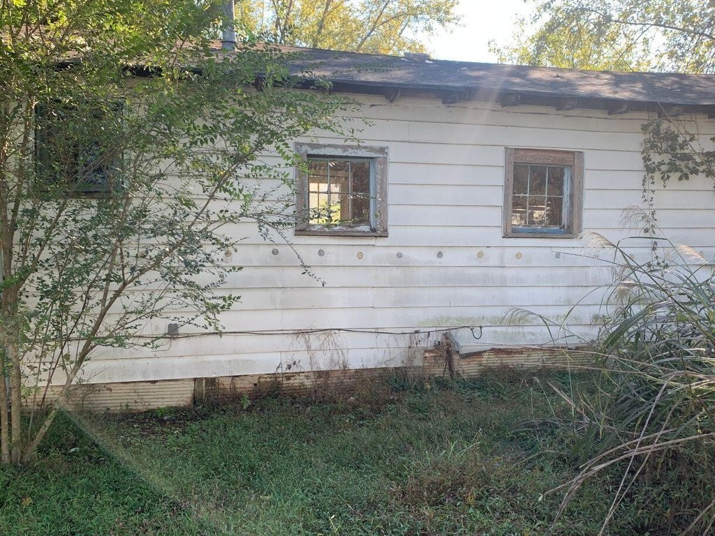 Picture 4