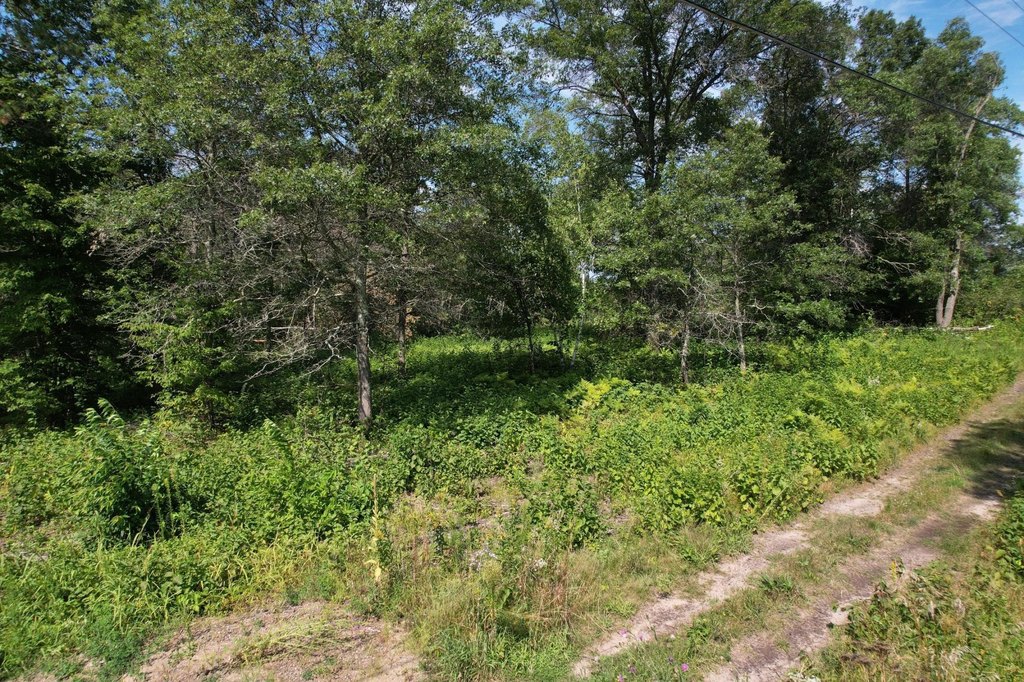 Picture 30