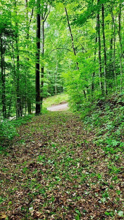 Picture 5