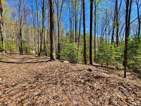 LAND - Sylva, NC
