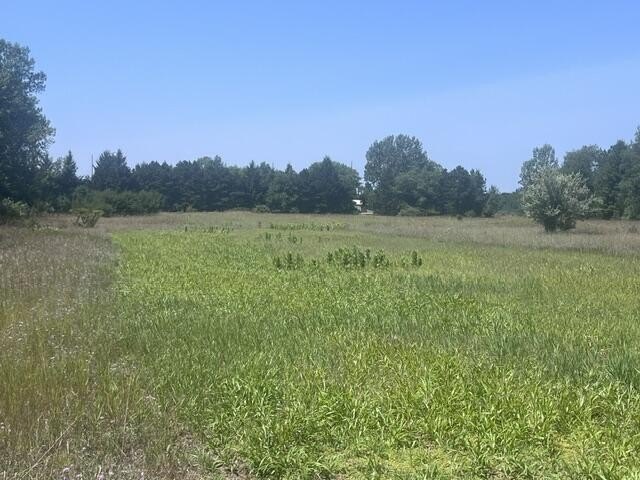 Picture 13