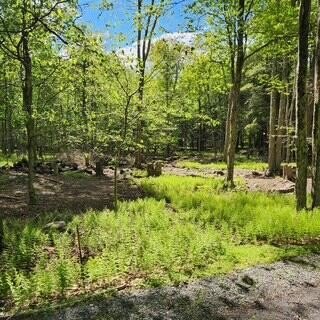 Land in Pocono Springs Association