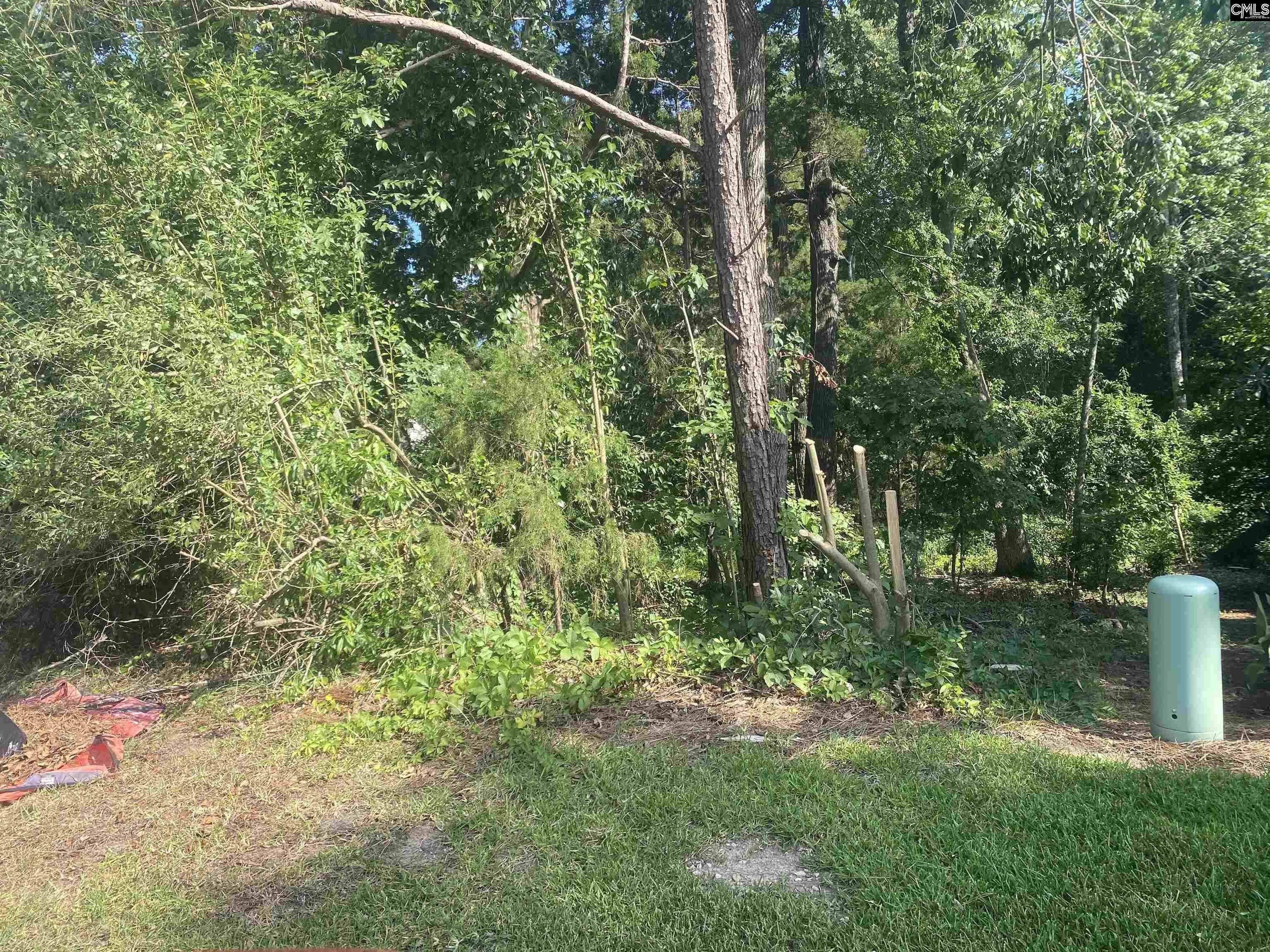 Residential Lot in Beacon Point