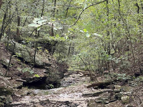 Clinton, AR Land Opportunity