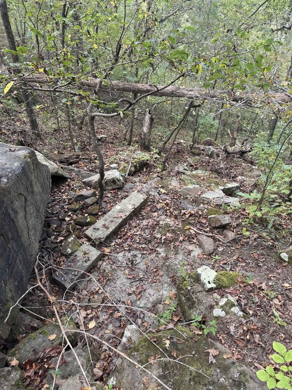 Picture 37