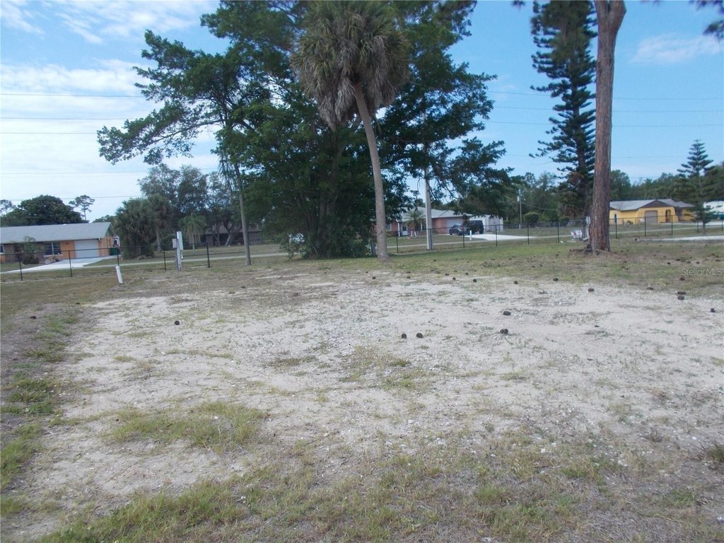 Picture 3