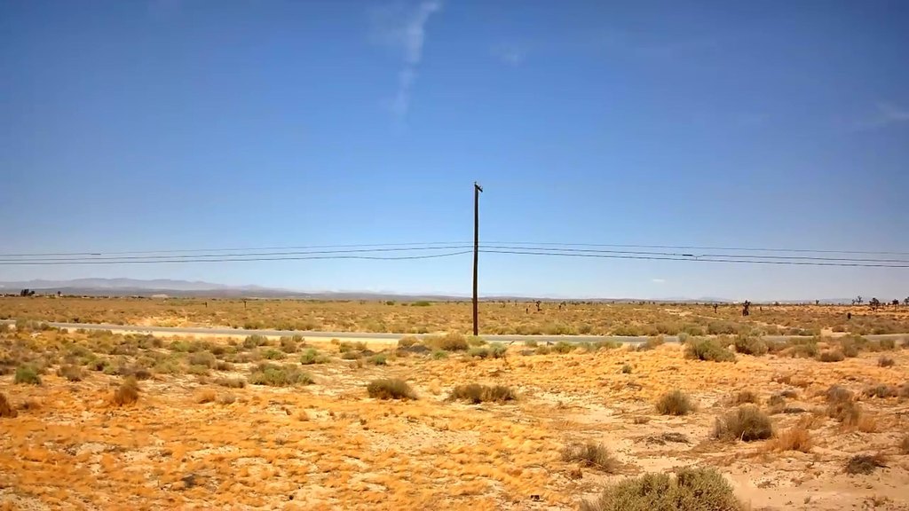 Picture 9